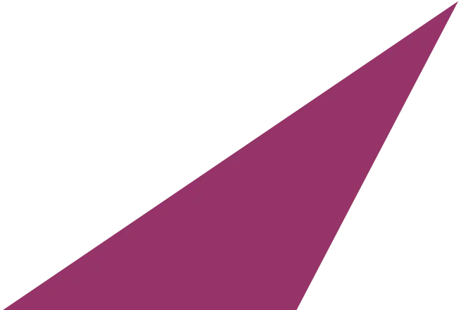 Majenta Triangle from the Coign logo